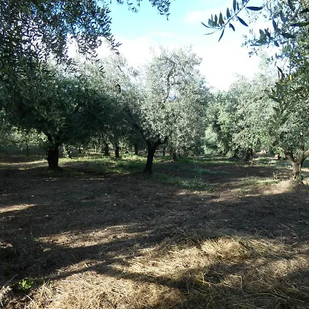 I Due Melograni Agriresort Tarano