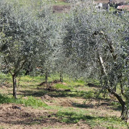 Hotel I Due Melograni Agriresort 3*